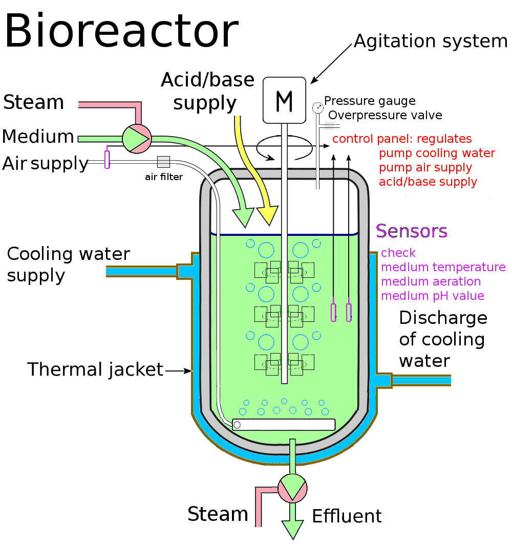 Subnautica bioreactor fragments